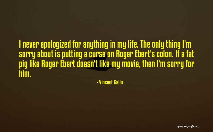 Vincent Gallo Quotes 250445