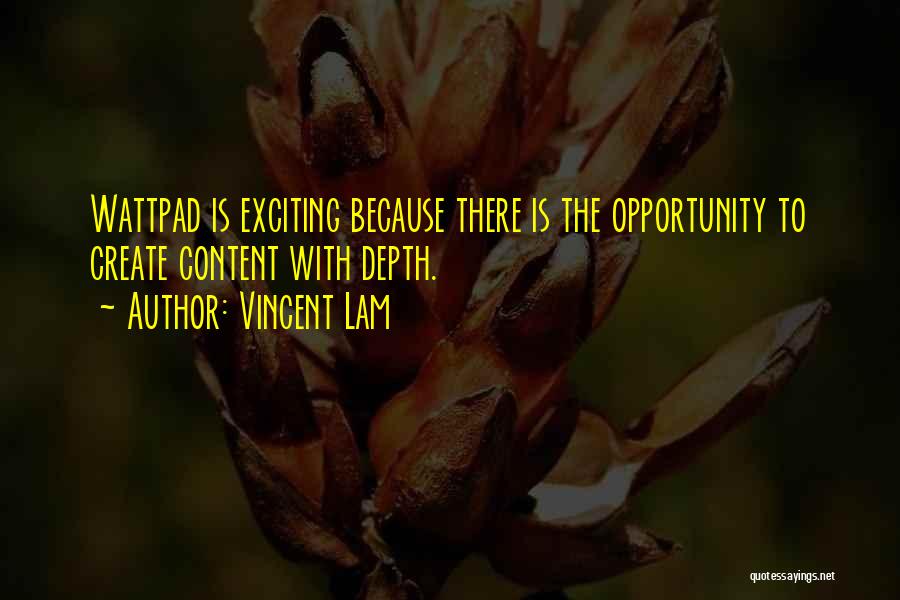 Vincent Lam Quotes 868002