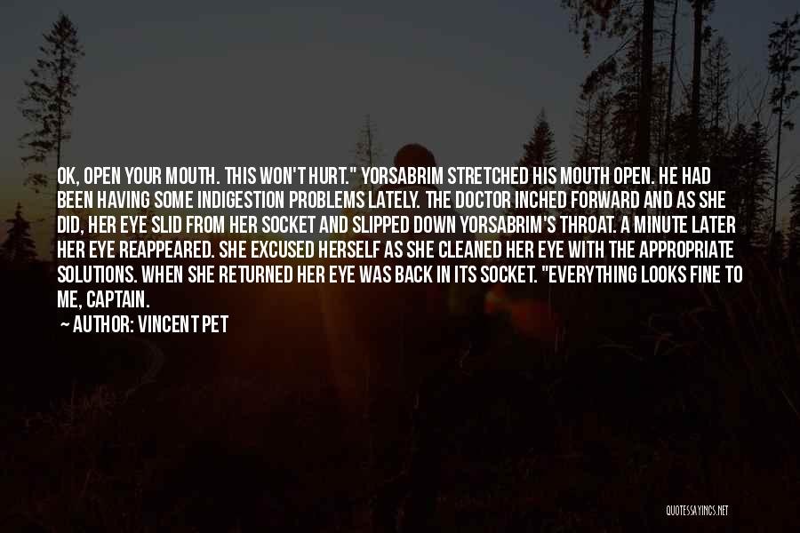 Vincent Pet Quotes 1445443