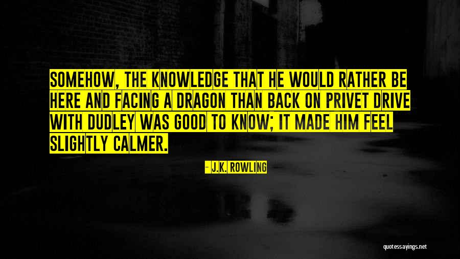 Vincent Winters Quotes By J.K. Rowling Vincent Winters Quotes By J.K. Rowling