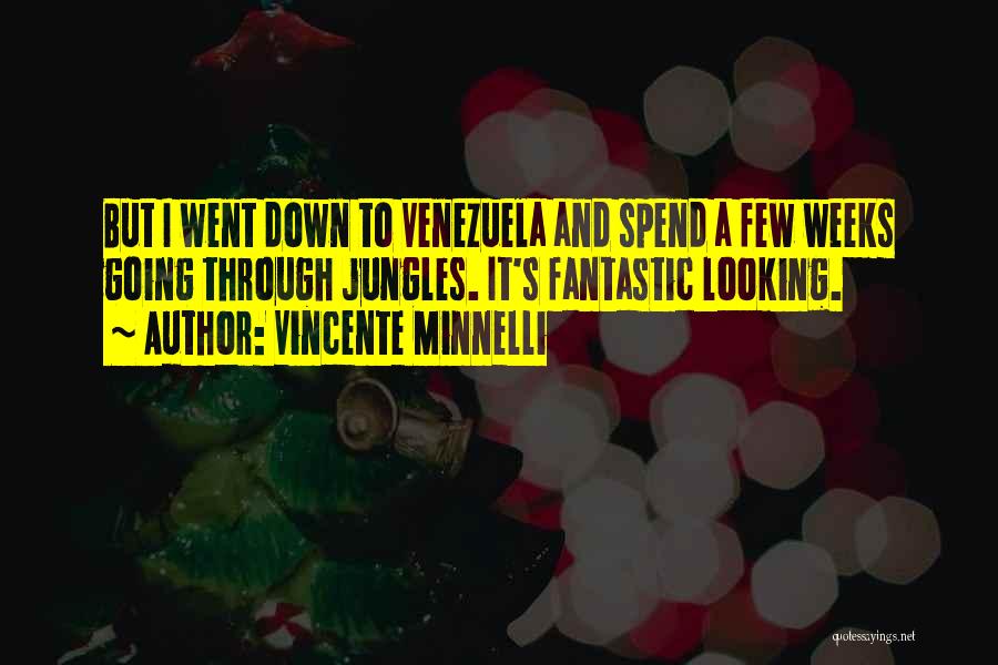 Vincente Minnelli Quotes 320237