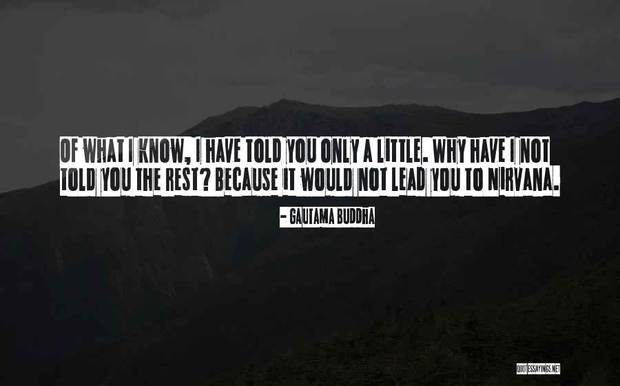 Vincenzi Limoncello Quotes By Gautama Buddha Vincenzi Limoncello Quotes By Gautama Buddha