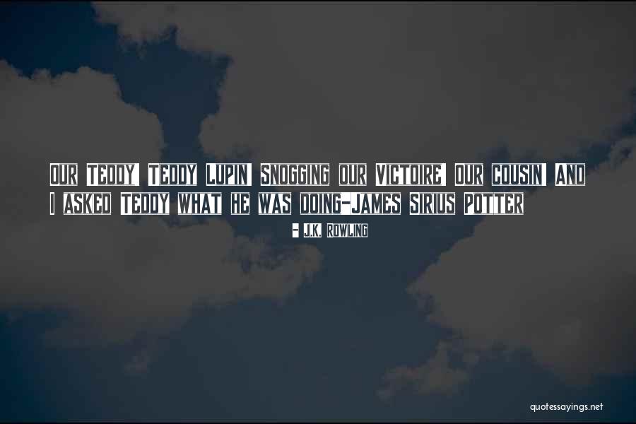 Vincenzi Limoncello Quotes By J.K. Rowling Vincenzi Limoncello Quotes By J.K. Rowling