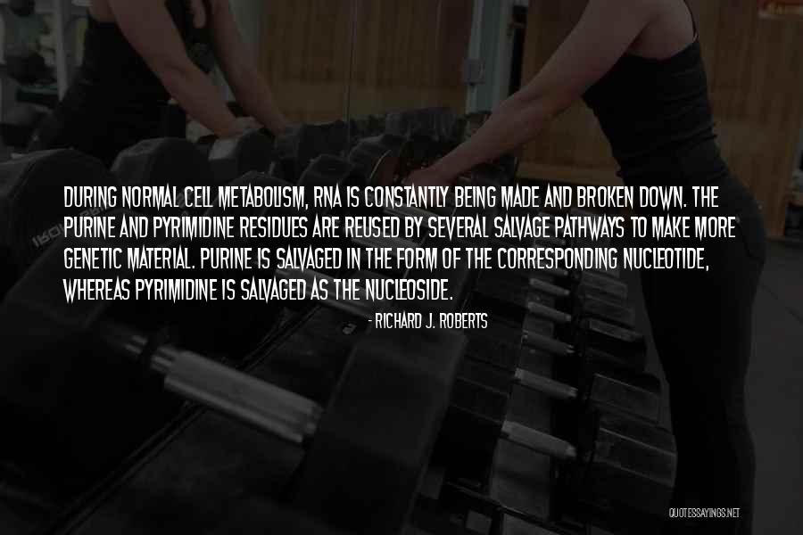 Vincenzia Quotes By Richard J. Roberts Vincenzia Quotes By Richard J. Roberts