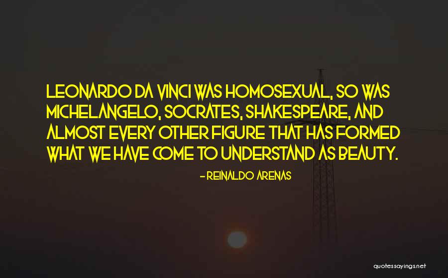 Vinci Quotes By Reinaldo Arenas Vinci Quotes By Reinaldo Arenas