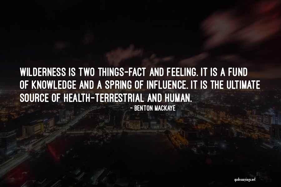 Vincible And Invincible Quotes By Benton MacKaye Vincible And Invincible Quotes By Benton MacKaye