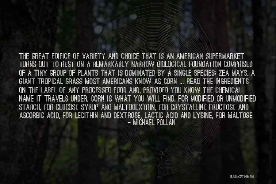 Vindecipher Quotes By Michael Pollan Vindecipher Quotes By Michael Pollan