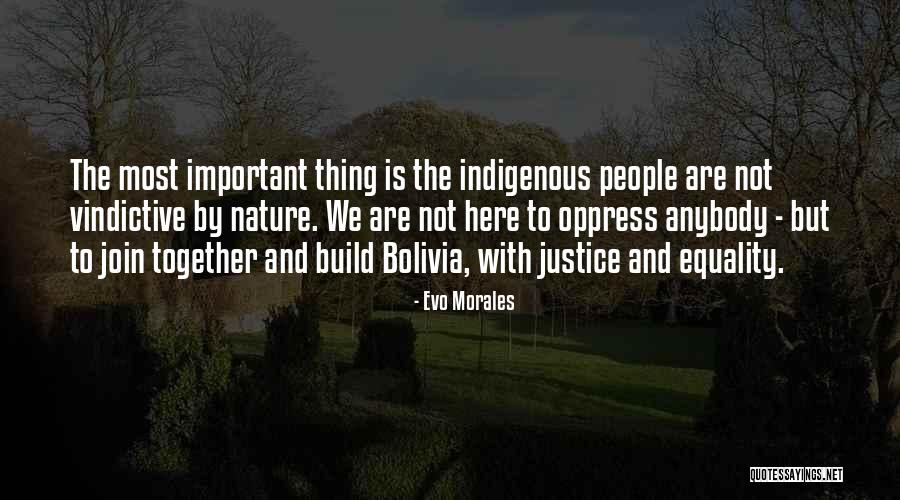 Vindictive Quotes By Evo Morales