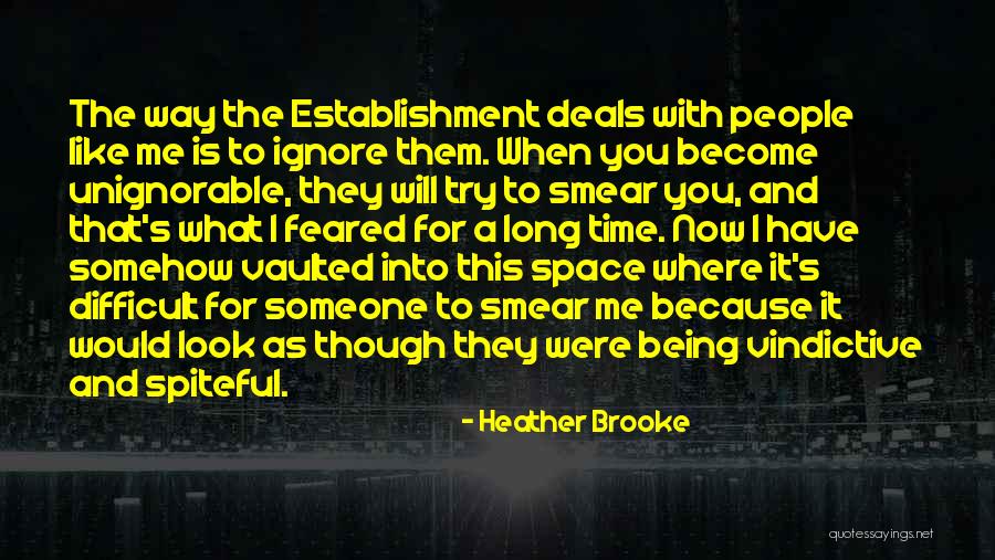 Vindictive Quotes By Heather Brooke Vindictive Quotes By Heather Brooke