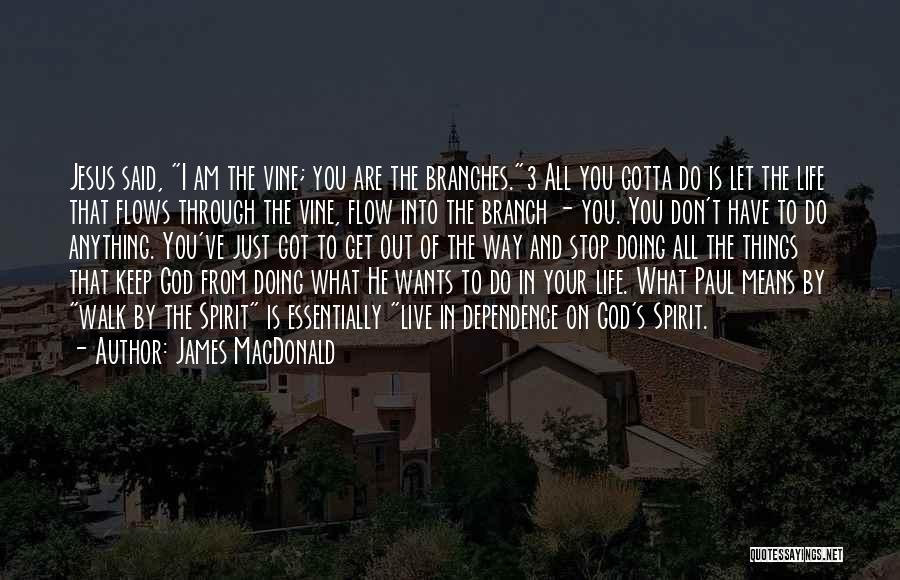 Vine And Branches Quotes By James MacDonald