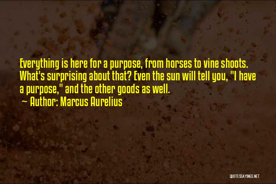 Vine Quotes By Marcus Aurelius