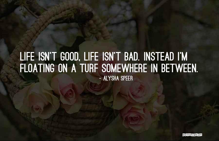 Vingt Mille Quotes By Alysha Speer Vingt Mille Quotes By Alysha Speer