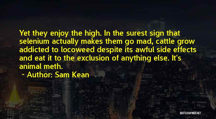 Vinha Quotes By Sam Kean