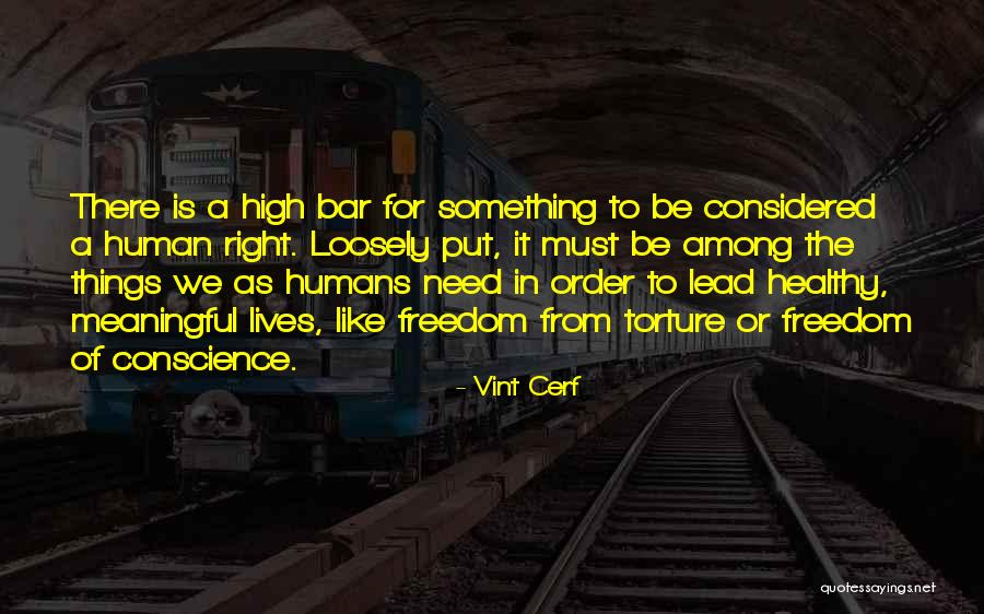 Vint Cerf Quotes 315594