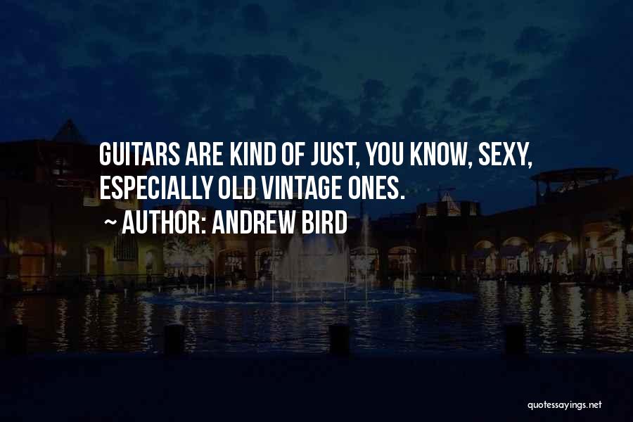 Vintage Guitars Quotes By Andrew Bird