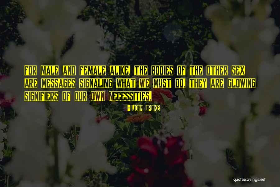 Vintiadis Greenwich Quotes By John Updike Vintiadis Greenwich Quotes By John Updike