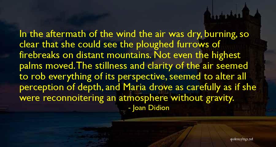 Vinuesa Made Quotes By Joan Didion Vinuesa Made Quotes By Joan Didion