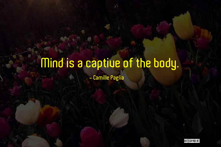 Vinum Latin Quotes By Camille Paglia Vinum Latin Quotes By Camille Paglia