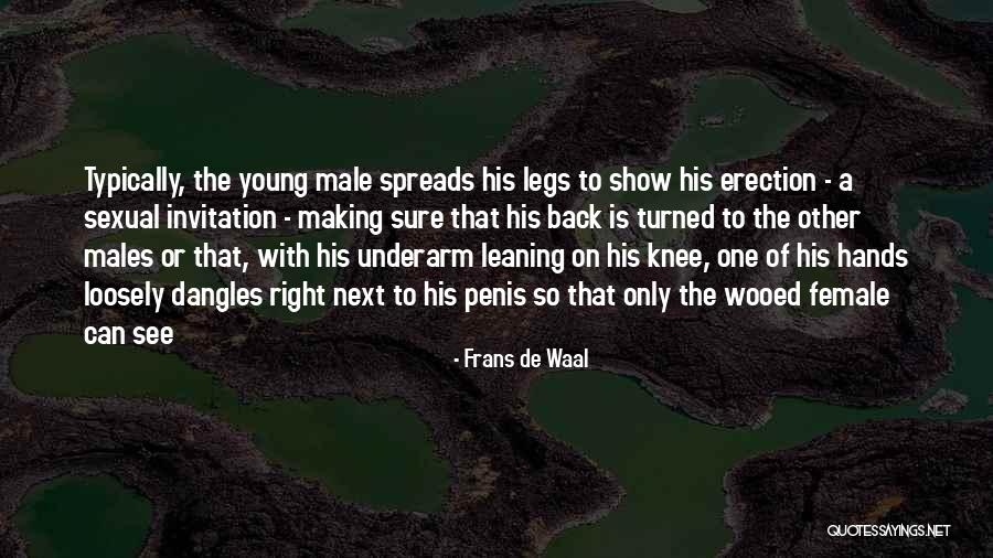 Violao Giannini Quotes By Frans De Waal Violao Giannini Quotes By Frans De Waal