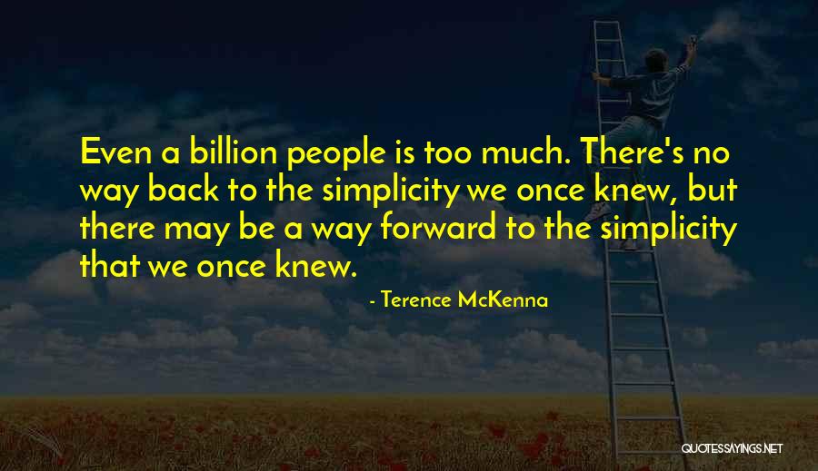 Violazione Persistente Quotes By Terence McKenna Violazione Persistente Quotes By Terence McKenna