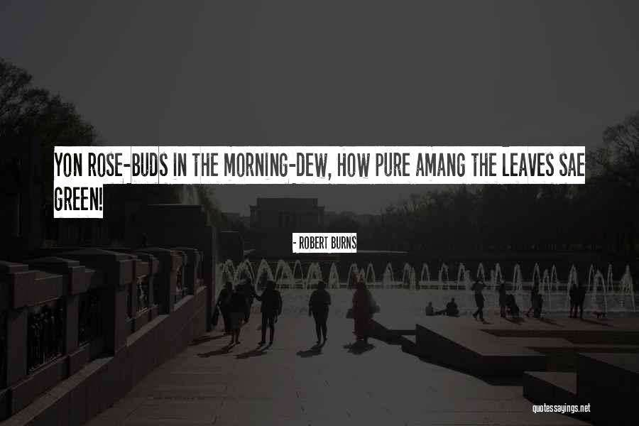 Violeiros Nordestinos Quotes By Robert Burns Violeiros Nordestinos Quotes By Robert Burns