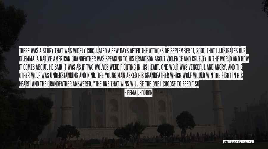 Violence And Cruelty Quotes By Pema Chodron Violence And Cruelty Quotes By Pema Chodron