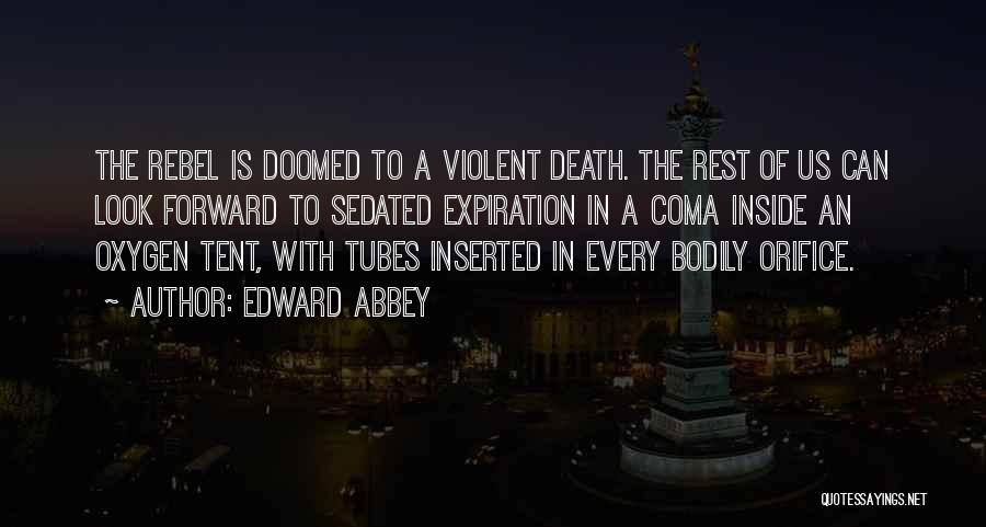 Violent Death Quotes By Edward Abbey