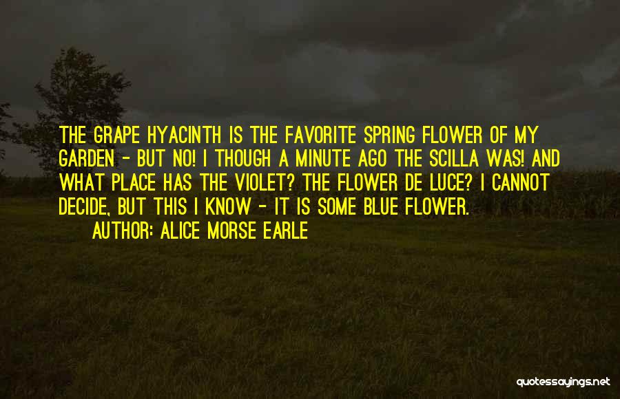 Violet Flower Quotes By Alice Morse Earle
