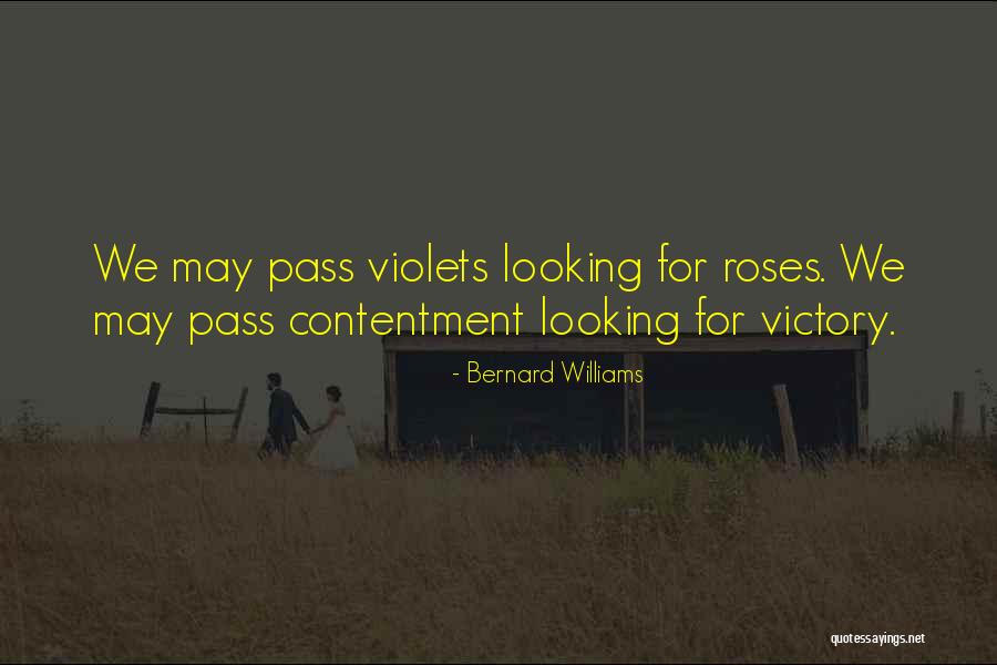 Violets Quotes By Bernard Williams Violets Quotes By Bernard Williams