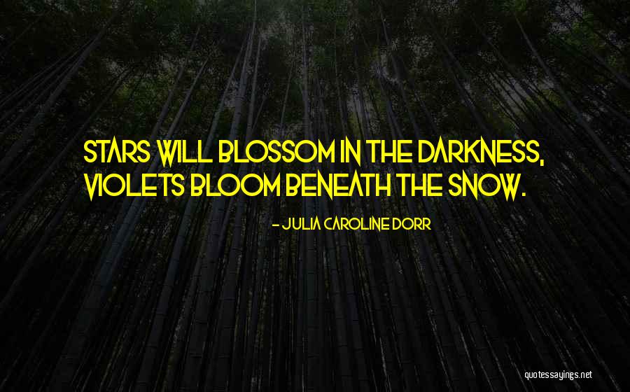 Violets Quotes By Julia Caroline Dorr Violets Quotes By Julia Caroline Dorr
