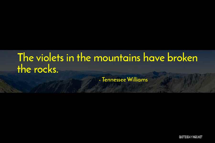Violets Quotes By Tennessee Williams Violets Quotes By Tennessee Williams