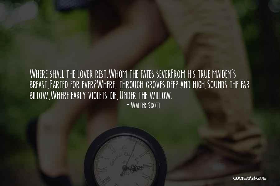 Violets Quotes By Walter Scott Violets Quotes By Walter Scott