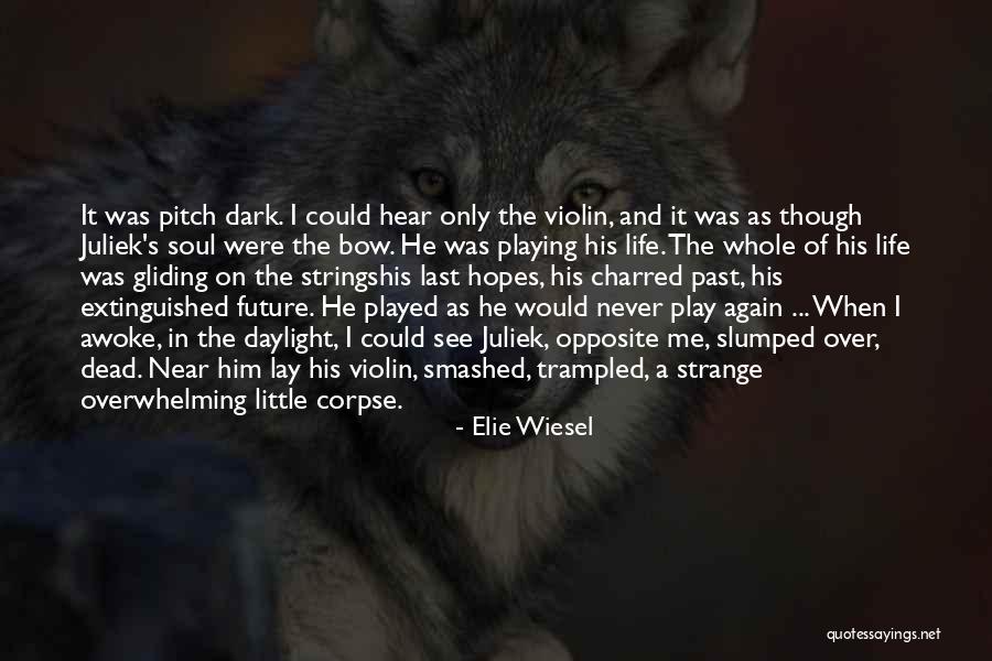 Violin And Life Quotes By Elie Wiesel