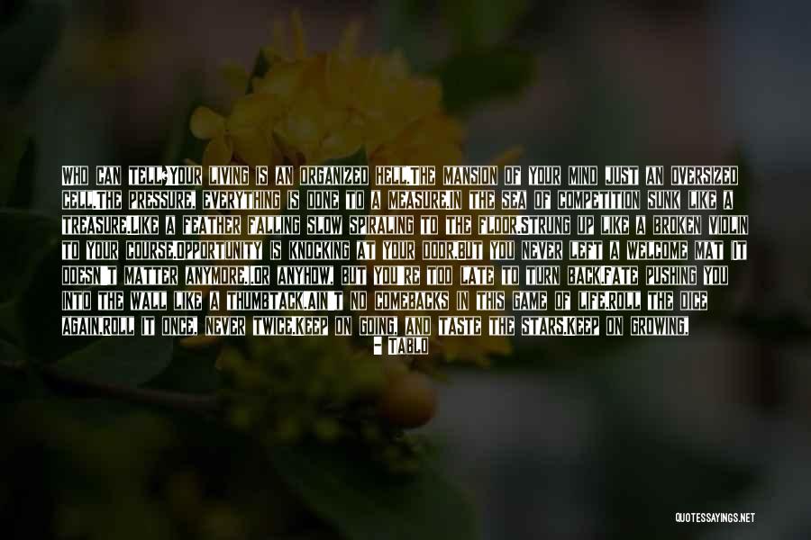 Violin And Life Quotes By Tablo