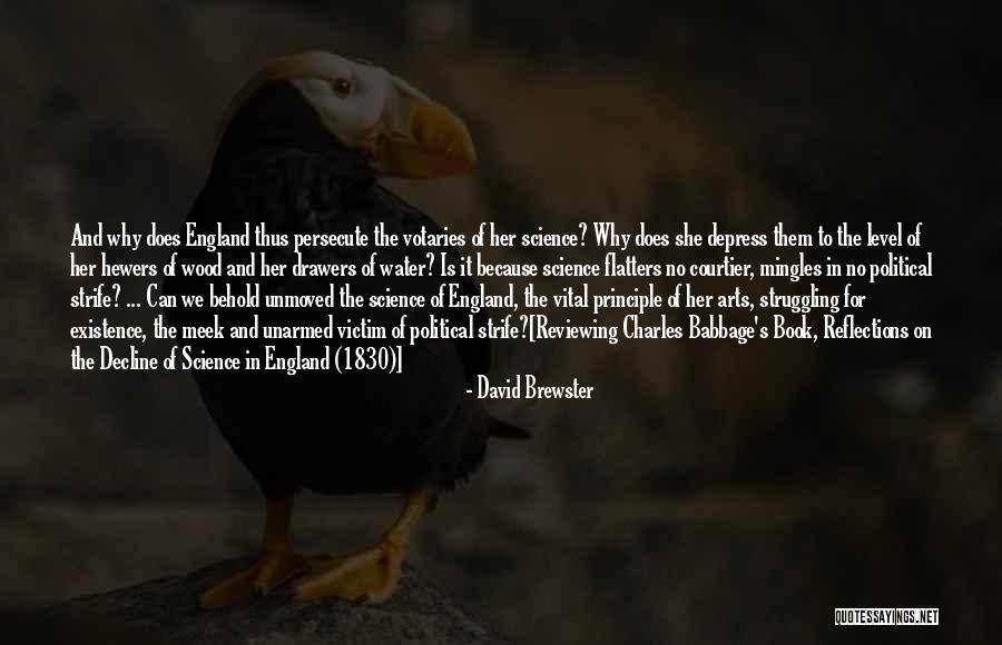 Viorela Martinez Quotes By David Brewster Viorela Martinez Quotes By David Brewster