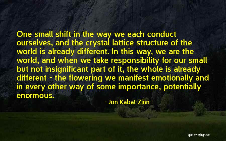 Viorela Polena Quotes By Jon Kabat-Zinn Viorela Polena Quotes By Jon Kabat-Zinn