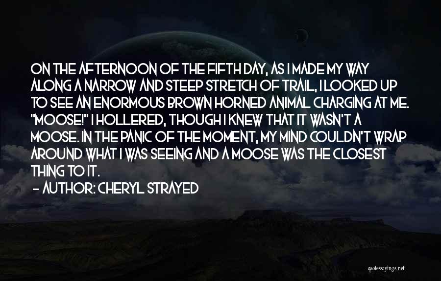 Vipul Medcorp Quotes By Cheryl Strayed