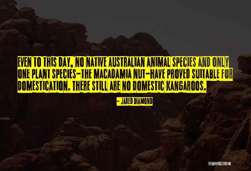Viraham Love Quotes By Jared Diamond Viraham Love Quotes By Jared Diamond