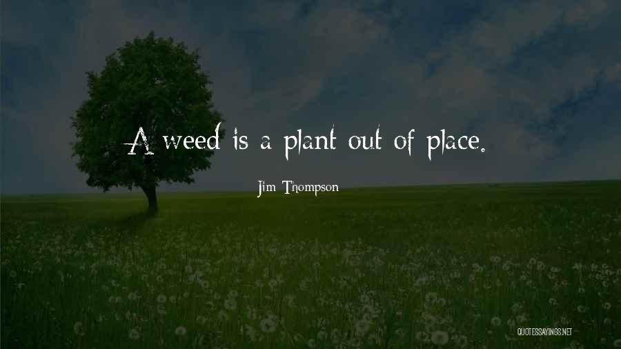 Virdie Emmanuel Quotes By Jim Thompson Virdie Emmanuel Quotes By Jim Thompson