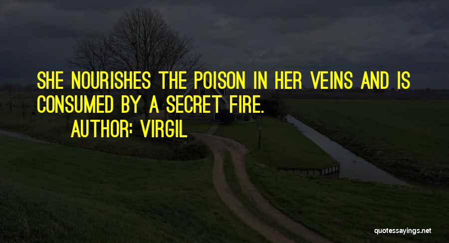 Virgil Quotes 1166781