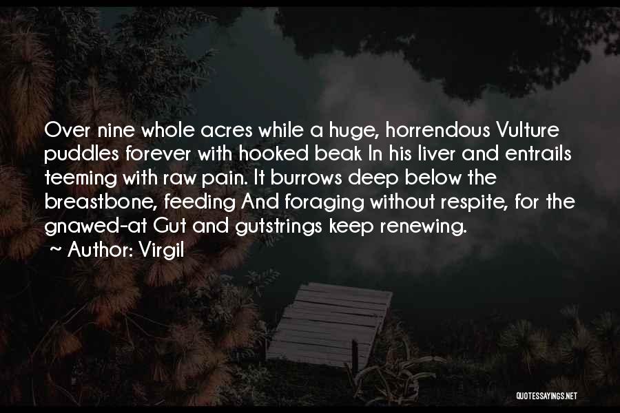 Virgil Quotes 1398766