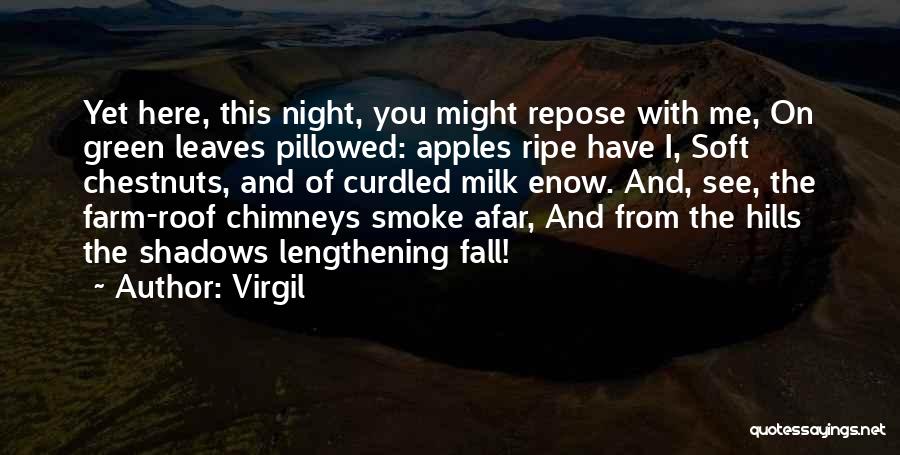 Virgil Quotes 1412302