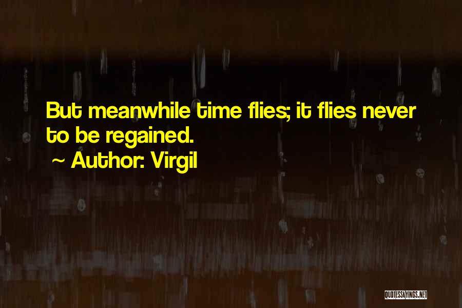 Virgil Quotes 1530723