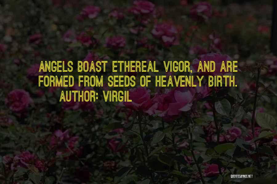 Virgil Quotes 1843511