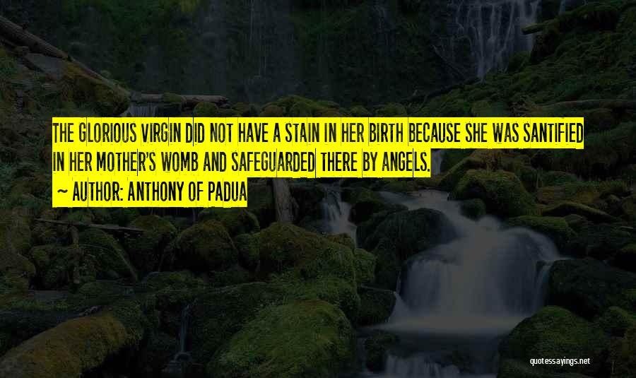 Virgin Birth Quotes By Anthony Of Padua