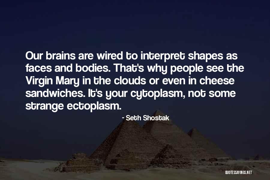 Virgin Or Not Quotes By Seth Shostak Virgin Or Not Quotes By Seth Shostak