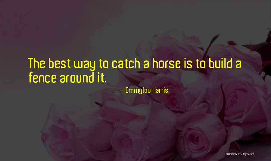 Virgin Trains Quotes By Emmylou Harris Virgin Trains Quotes By Emmylou Harris