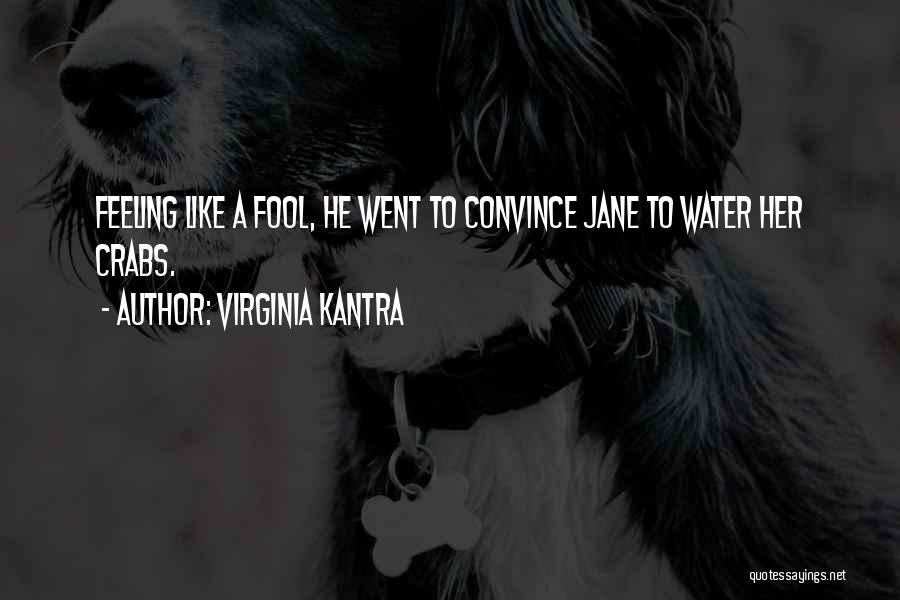 Virginia Kantra Quotes 1731268