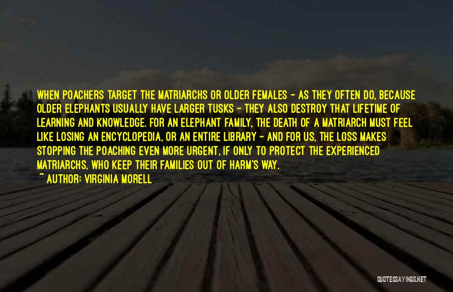 Virginia Morell Quotes 1335051