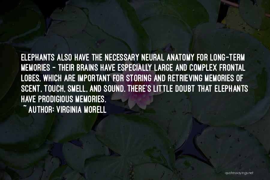 Virginia Morell Quotes 1750916